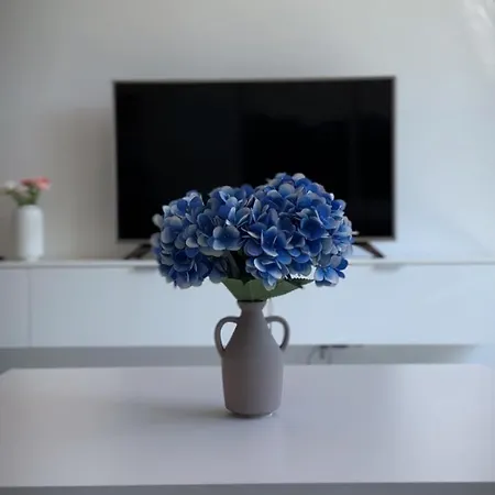 Apartman Skau Zuckermandel Danube View Free Parking